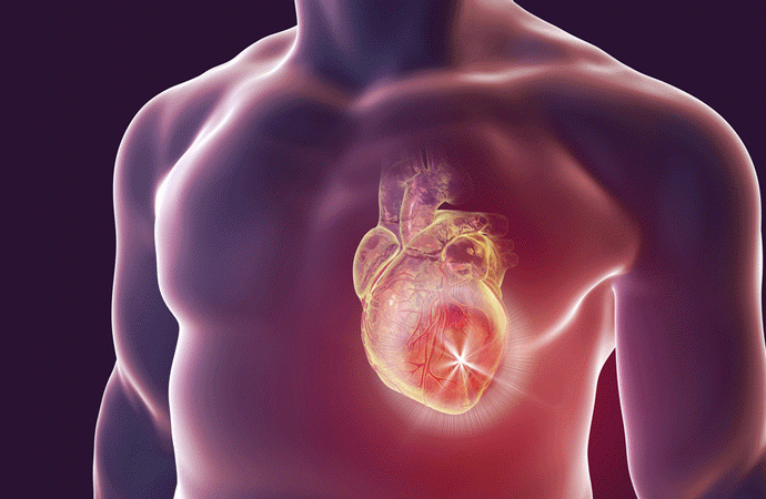 Farmaco contro danni al cuore e infarti