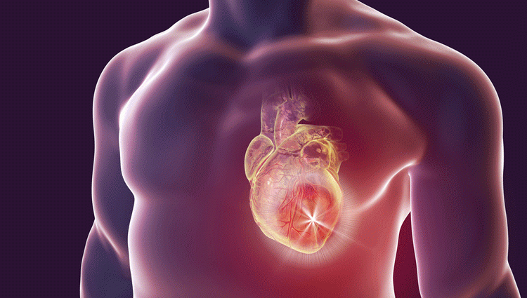 Farmaco contro danni al cuore e infarti