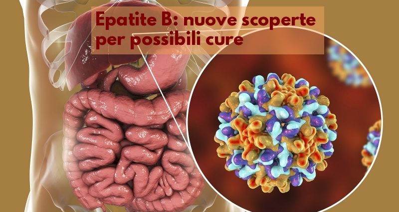 Epatite B nuove scoperte per cure