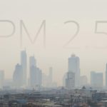 Polveri sottili PM 2,5: effetti sulla salute