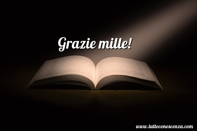 Immagine gratis Grazie mille