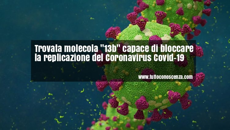Coronavirus molecola 13b per bloccarlo