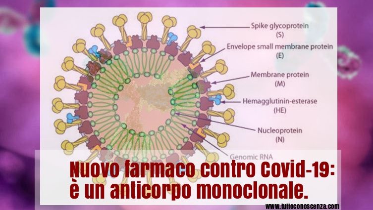 Nuovo Farmaco Coronavirus Anticorpo Monoclonale