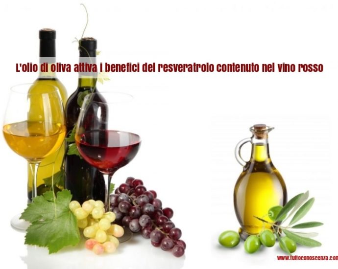 Olio di oliva benefici antinvecchiamento