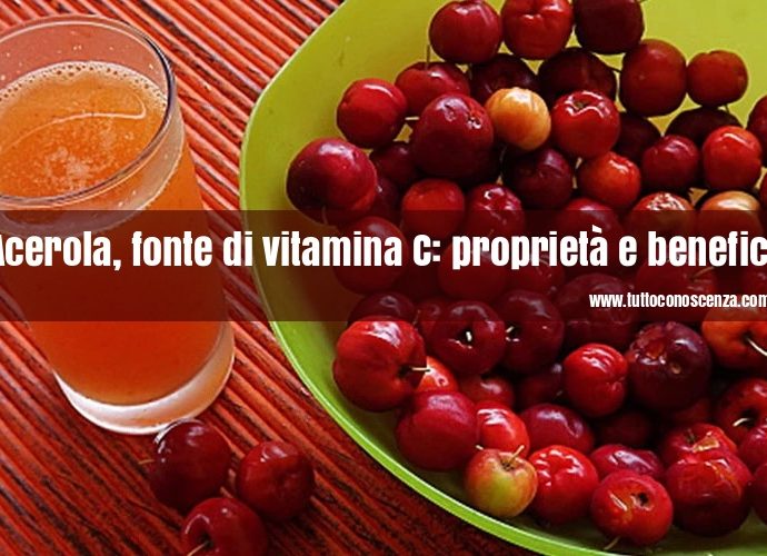 Acerola vitamina C proprietà
