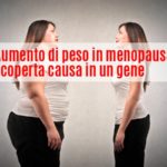 Aumento di peso in menopausa: scoperta la causa
