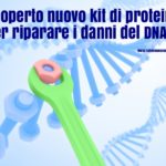 Riparazione del DNA: scoperto un nuovo kit di proteine