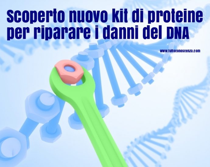 Riparazione DNA scoperto nuovo kit