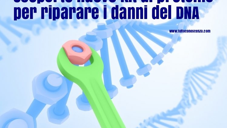 Riparazione DNA scoperto nuovo kit