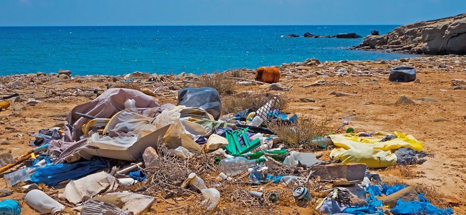 Beach litter 2020 Legambiente
