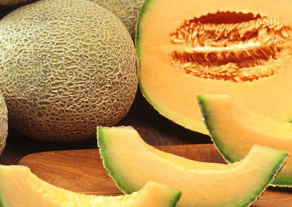 Melone Cantalupo Retato calorie proprietà