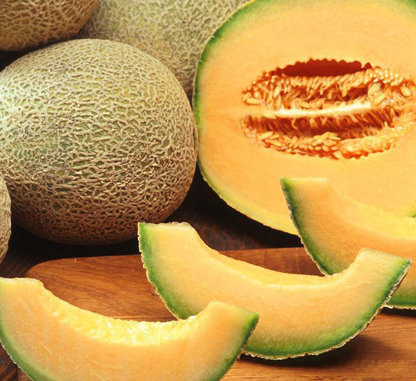 Melone Cantalupo Retato calorie proprietà