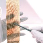 Nuovi materiali che bloccano raggi UV: il legno trasparente