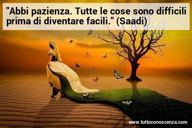 Frase sulla pazienza Saadi