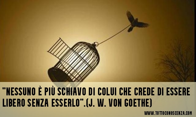 Frasi sulla libertà di pensiero - Tutto è Conoscenza Blog News - It From Bit