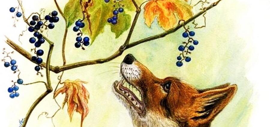 La volpe e l'uva significato favola