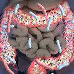Diabete e flora intestinale: batteri favoriscono la patologia