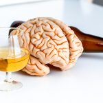 Effetti dell'alcol sul cervello: causa riduzione delle dimensioni