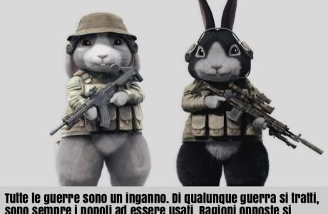 Frase del giorno guerra popoli conigli