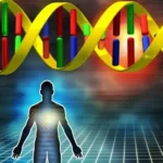 Evoluzione genetica uomo scoperti nuovi geni