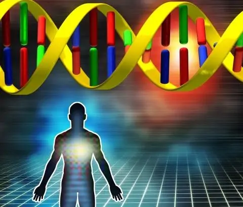 Evoluzione genetica uomo scoperti nuovi geni